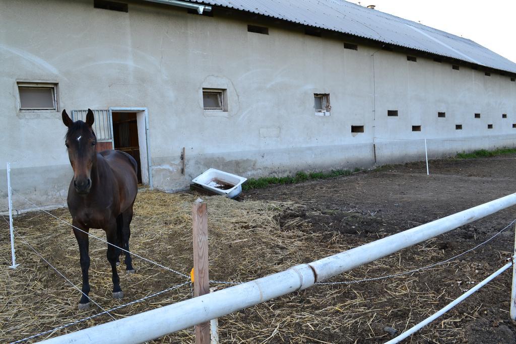 Penzion Eqilon Hotell Mělník Exteriör bild
